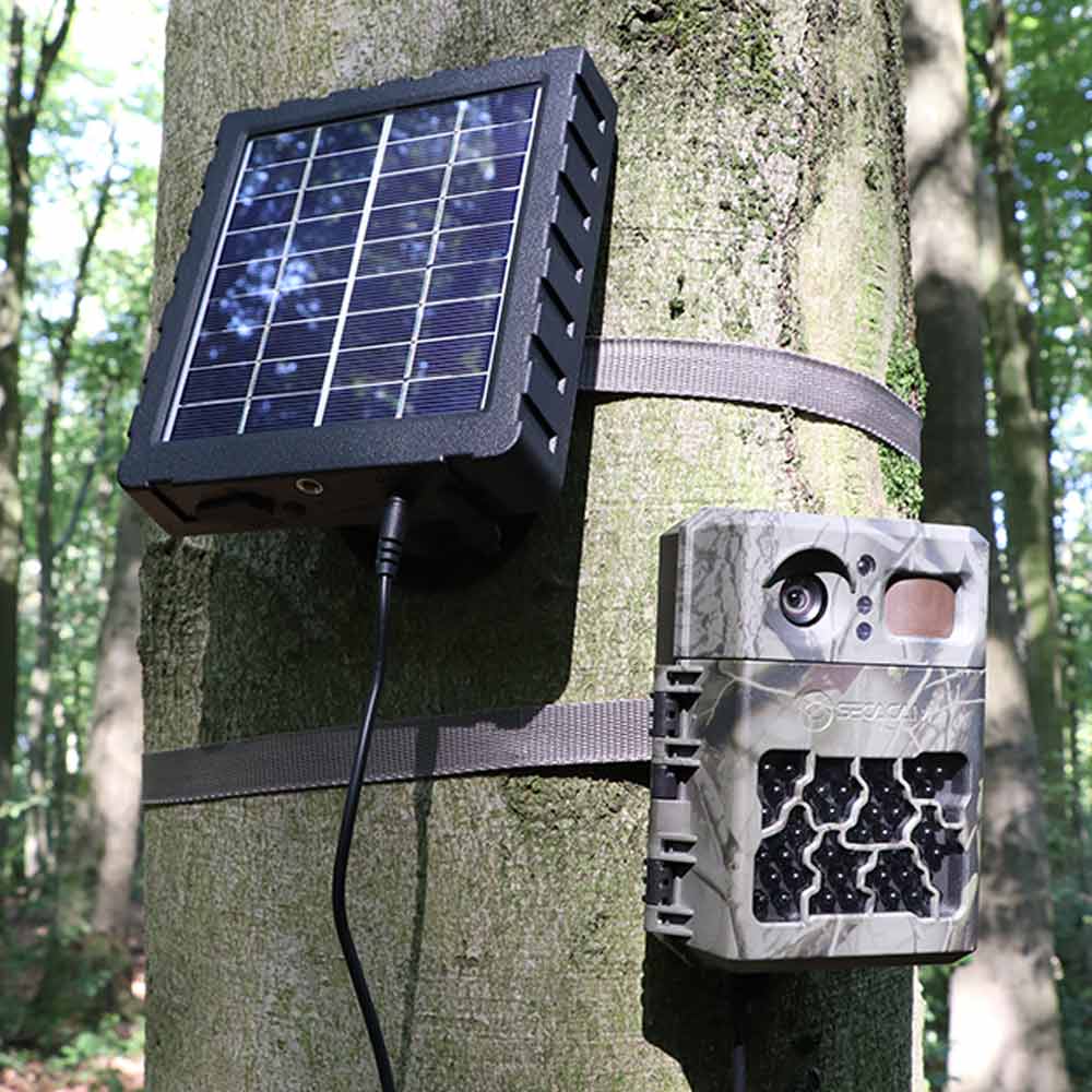 Solarmodul mit Wildkamera am Baum